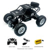 1:18 RC Car  Climbing Mountain Monster 